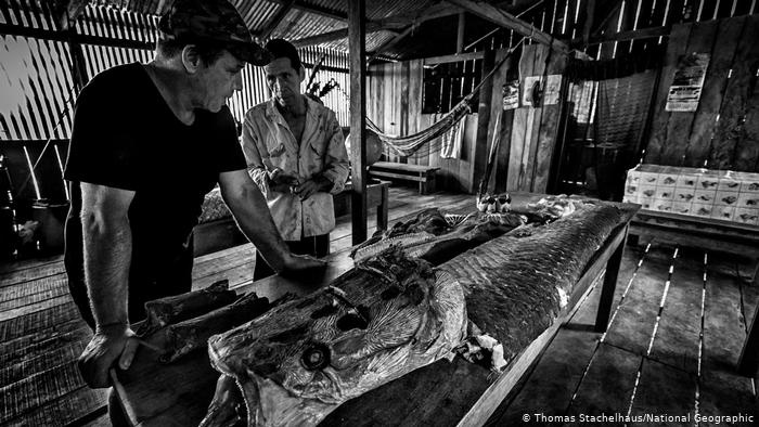 Trai nghiem rung ram Amazon cua ngoi sao Till Lindermann hinh anh