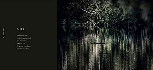 Xuyen rung Amazon anh 8