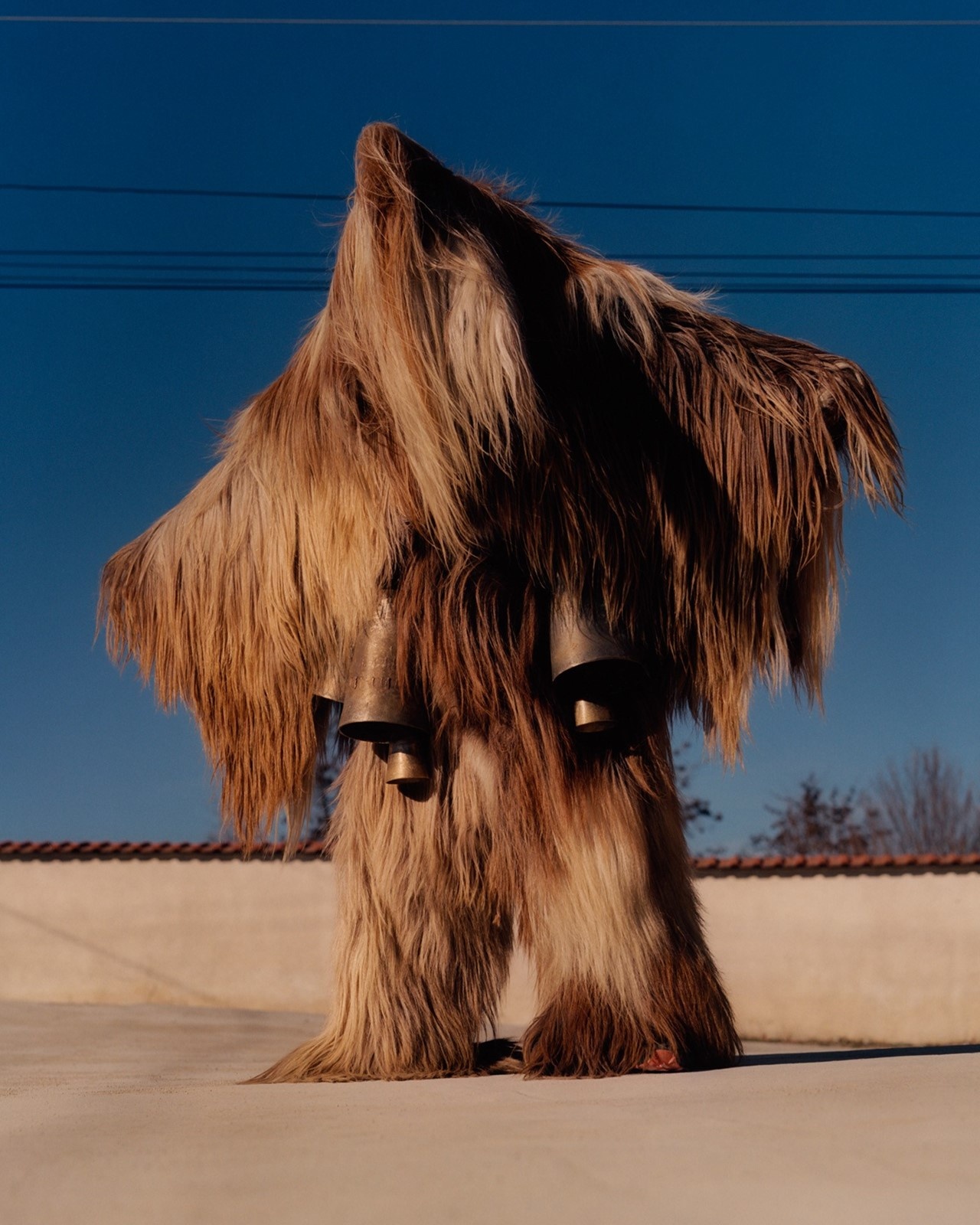 Truyen thong Bulgaria anh 7