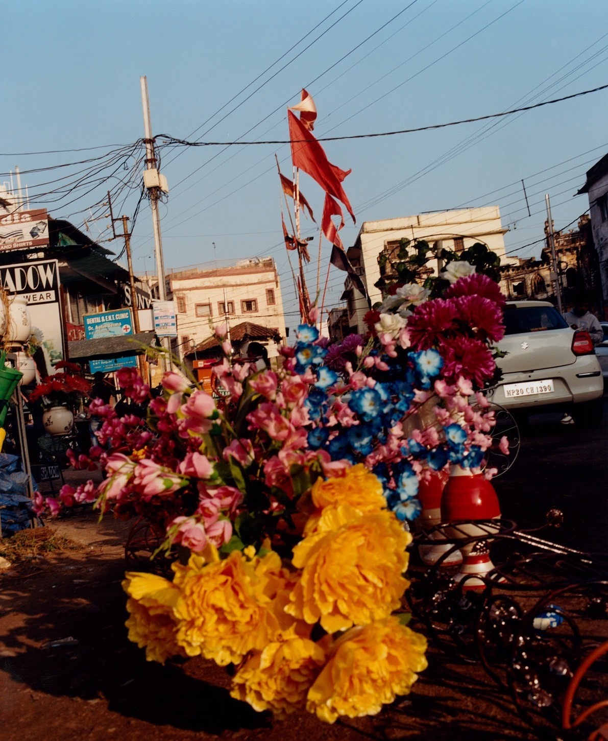 Sach anh doi song An Do anh 9