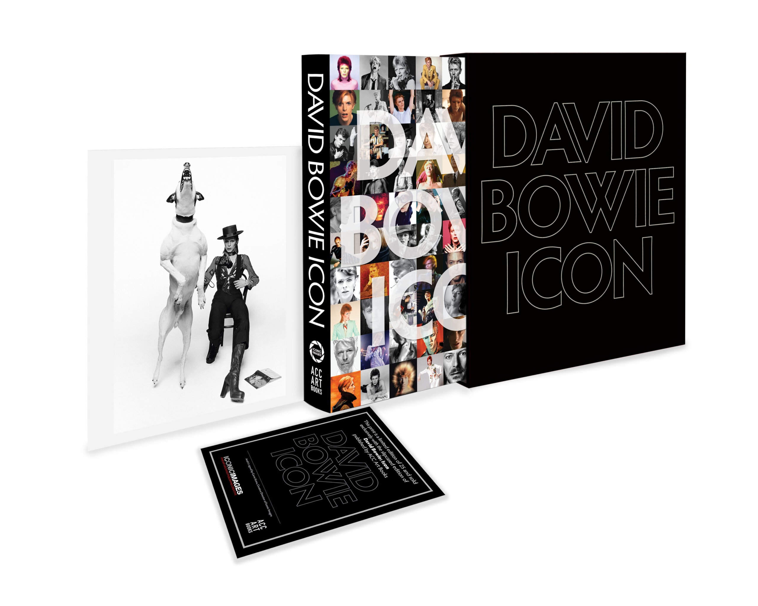 Bieu tuong David Bowie anh 4