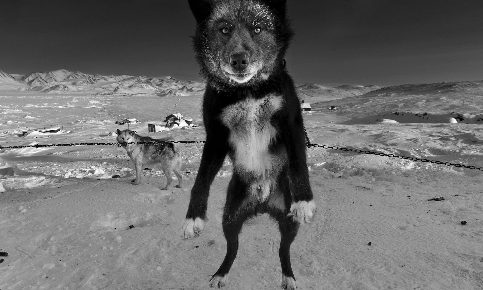 Doi song cho keo xe Bac Cuc anh 1