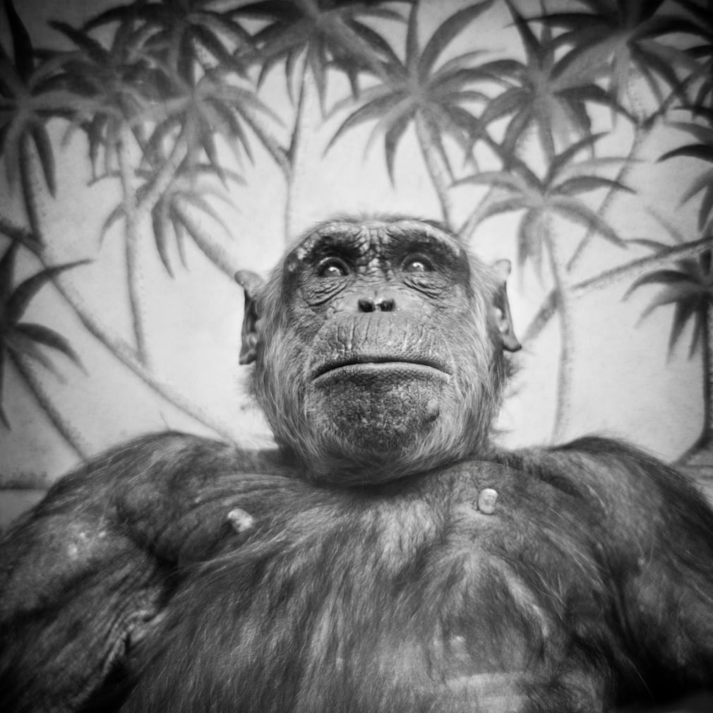 Sach anh vuon thu chau Au anh 1