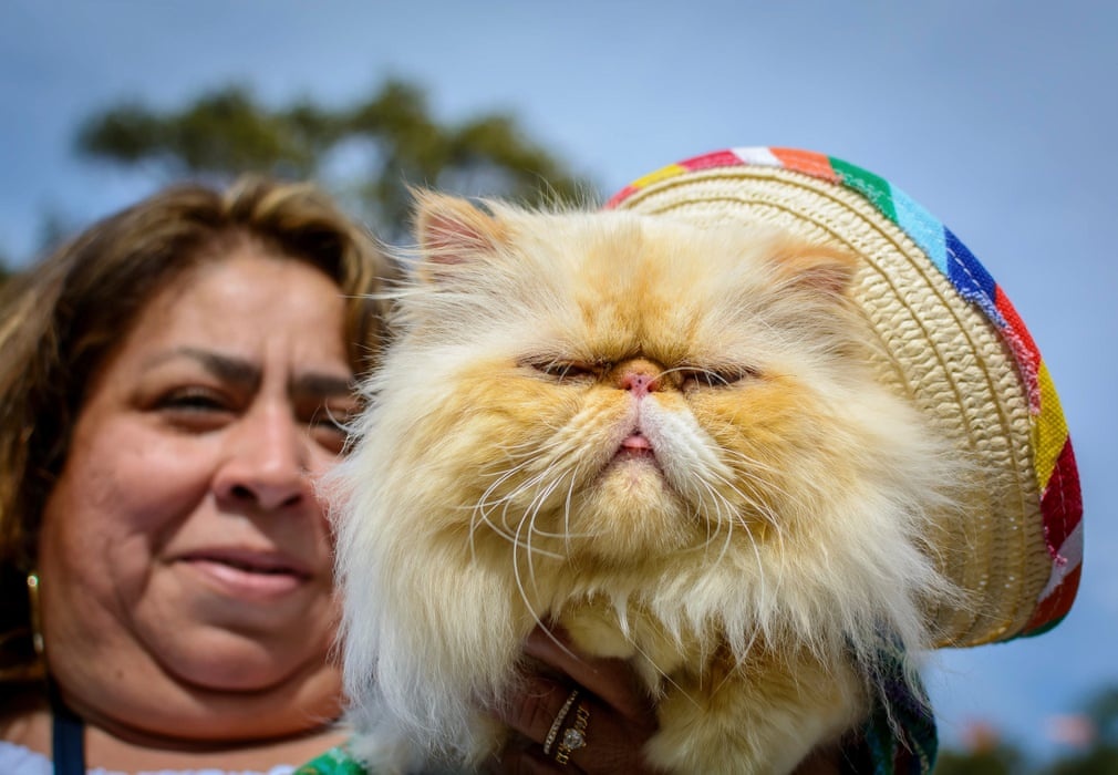 Sach anh California anh 5