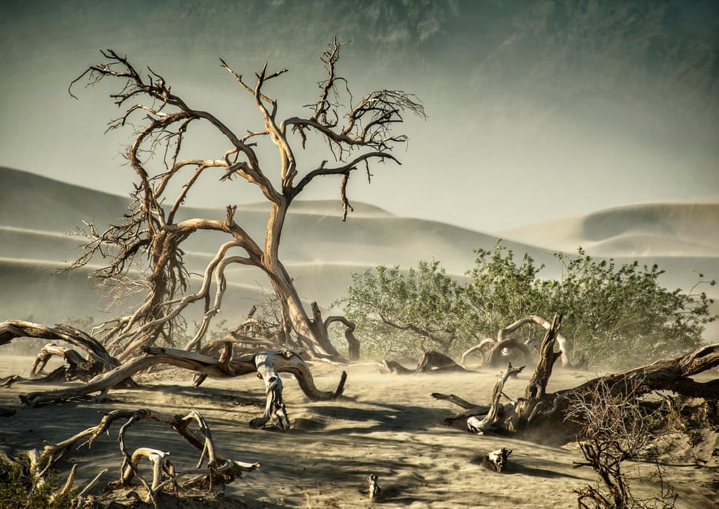 Sach anh California anh 8