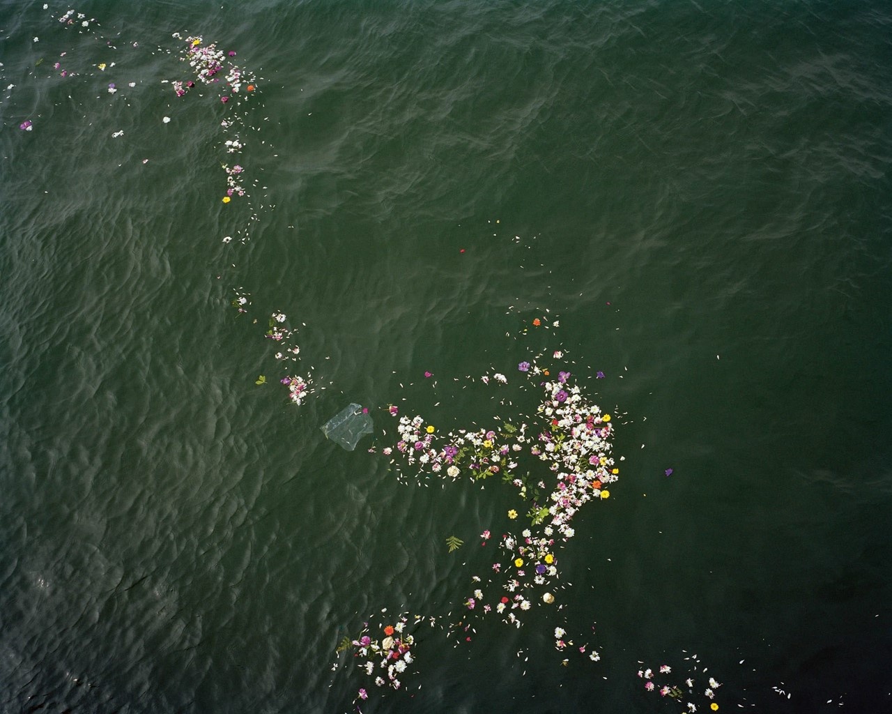 Sach anh song Thames Anh anh 6