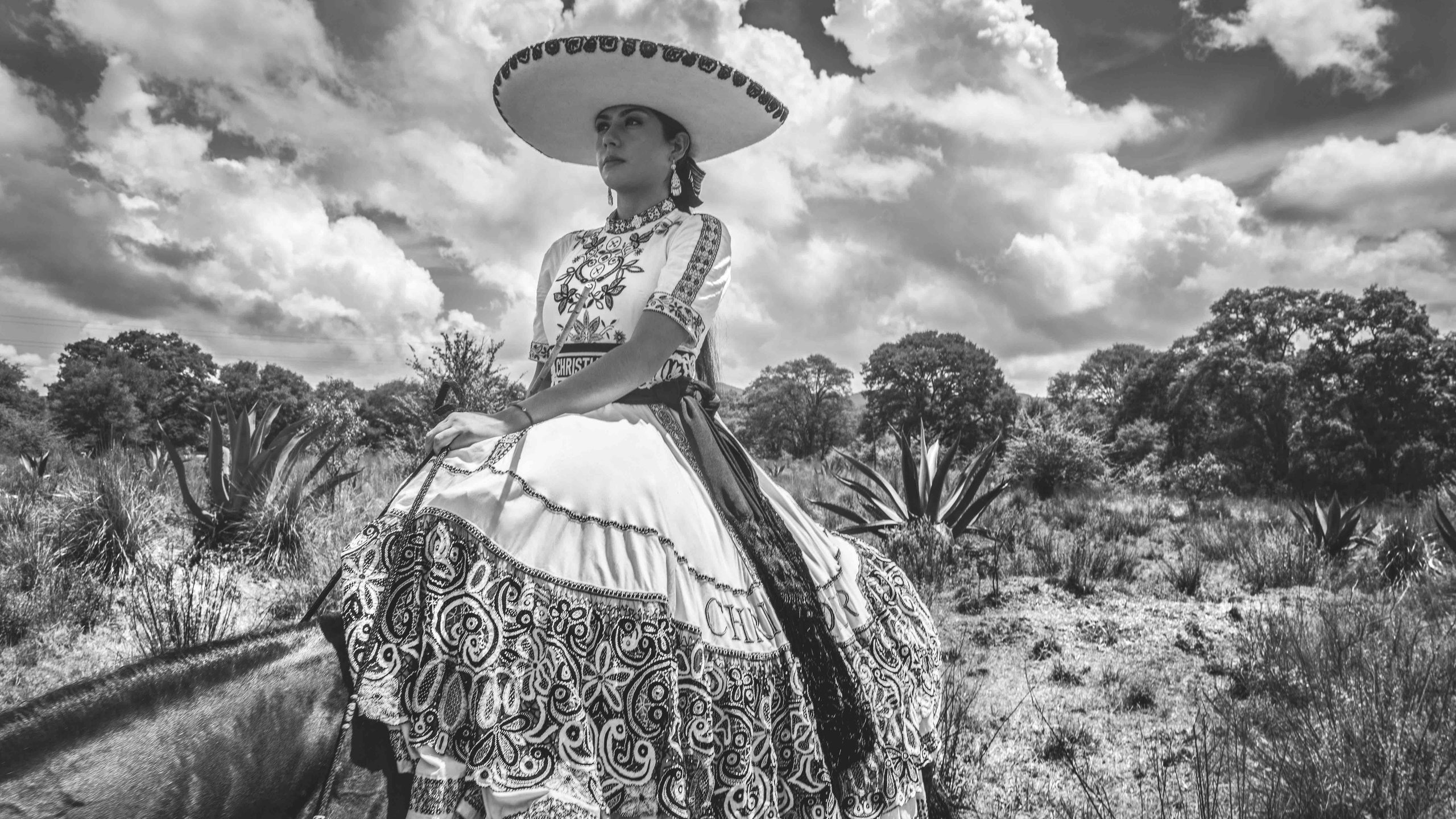 Sach anh ton vinh tinh than nu quyen cua nha mot Dior hinh anh