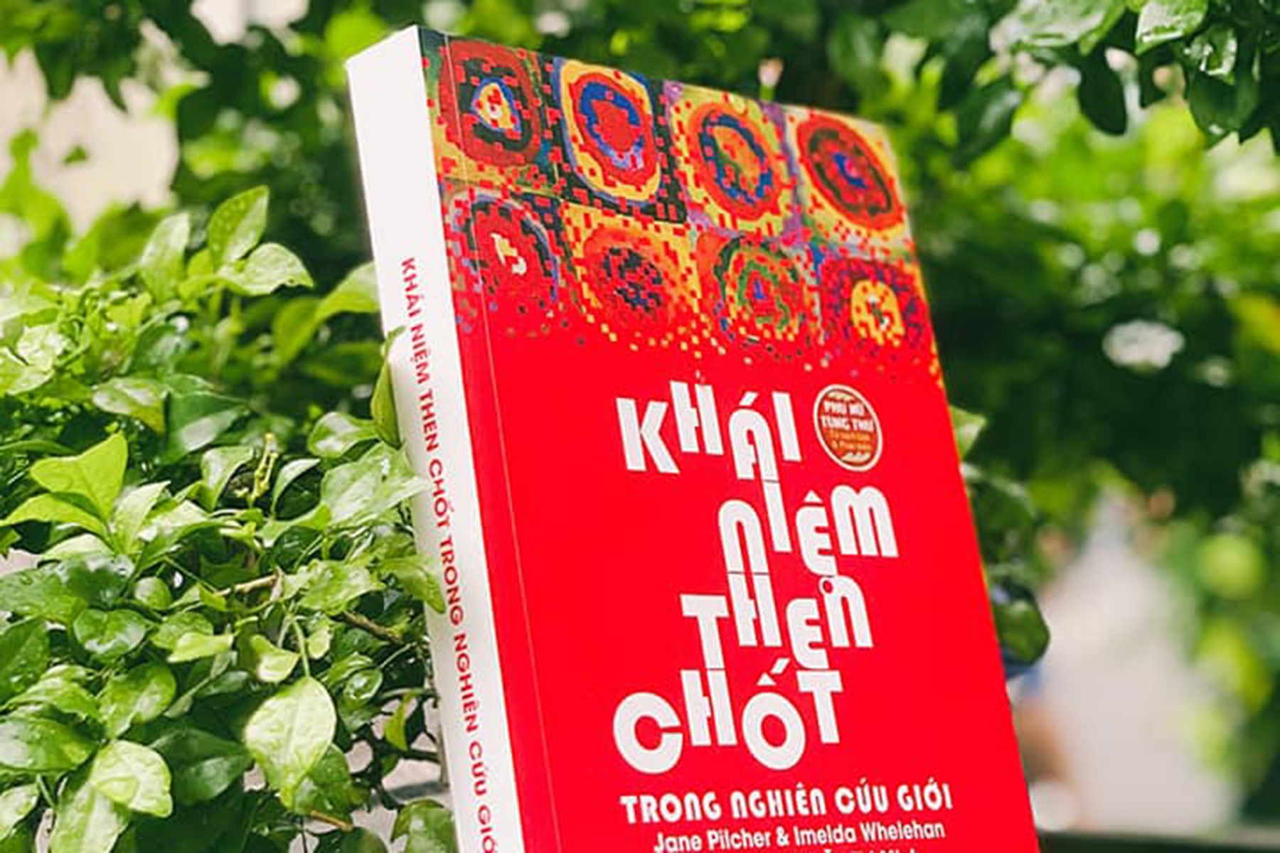 Chua co su thong nhat ve cach dich trong sach nghien cuu hinh anh