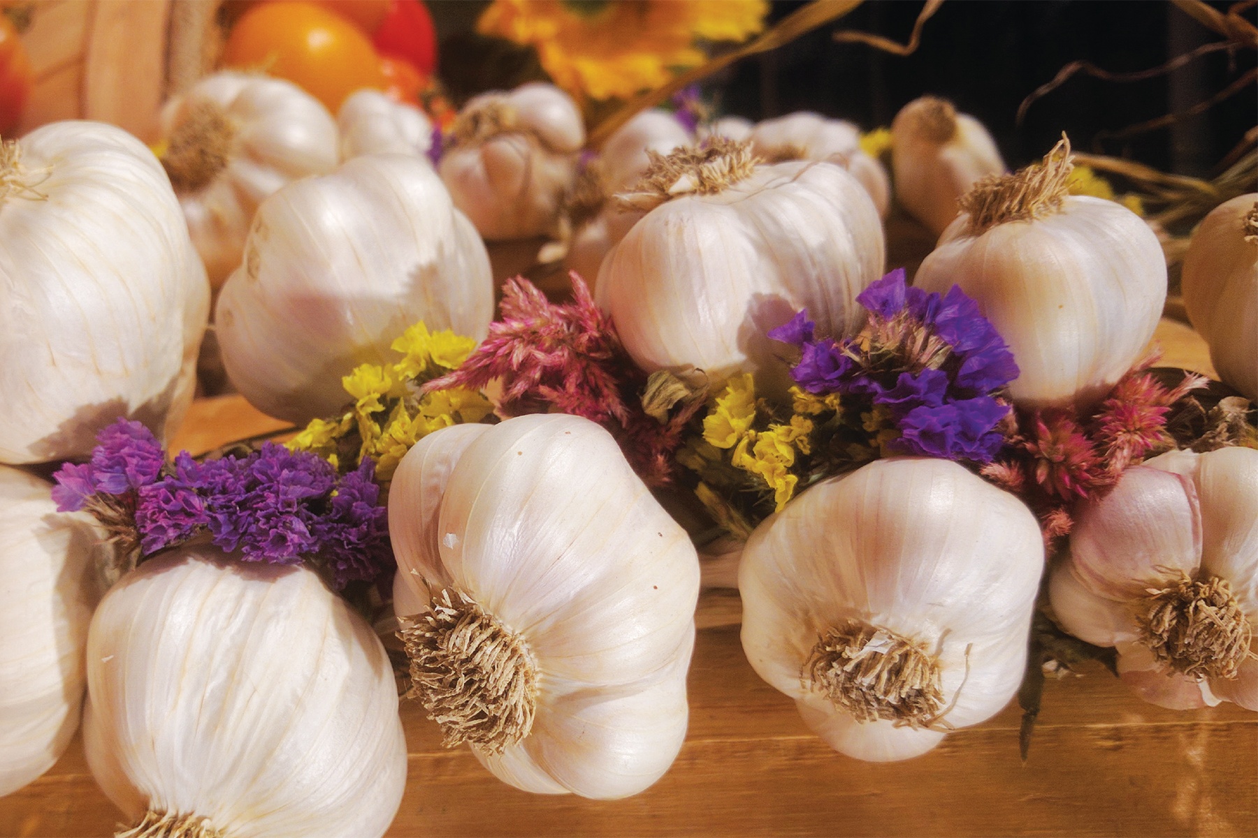 Ly do toi co biet danh 'hoa hong thoi' hinh anh