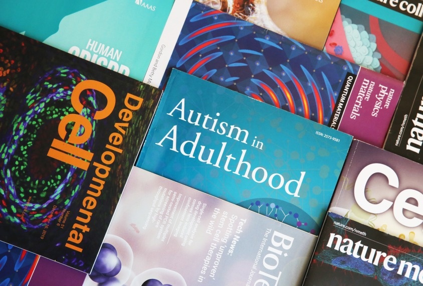 Bai bao hoc thuat anh 2