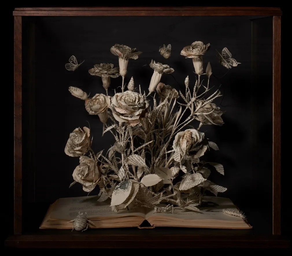 dieu khac sach cu anh 6