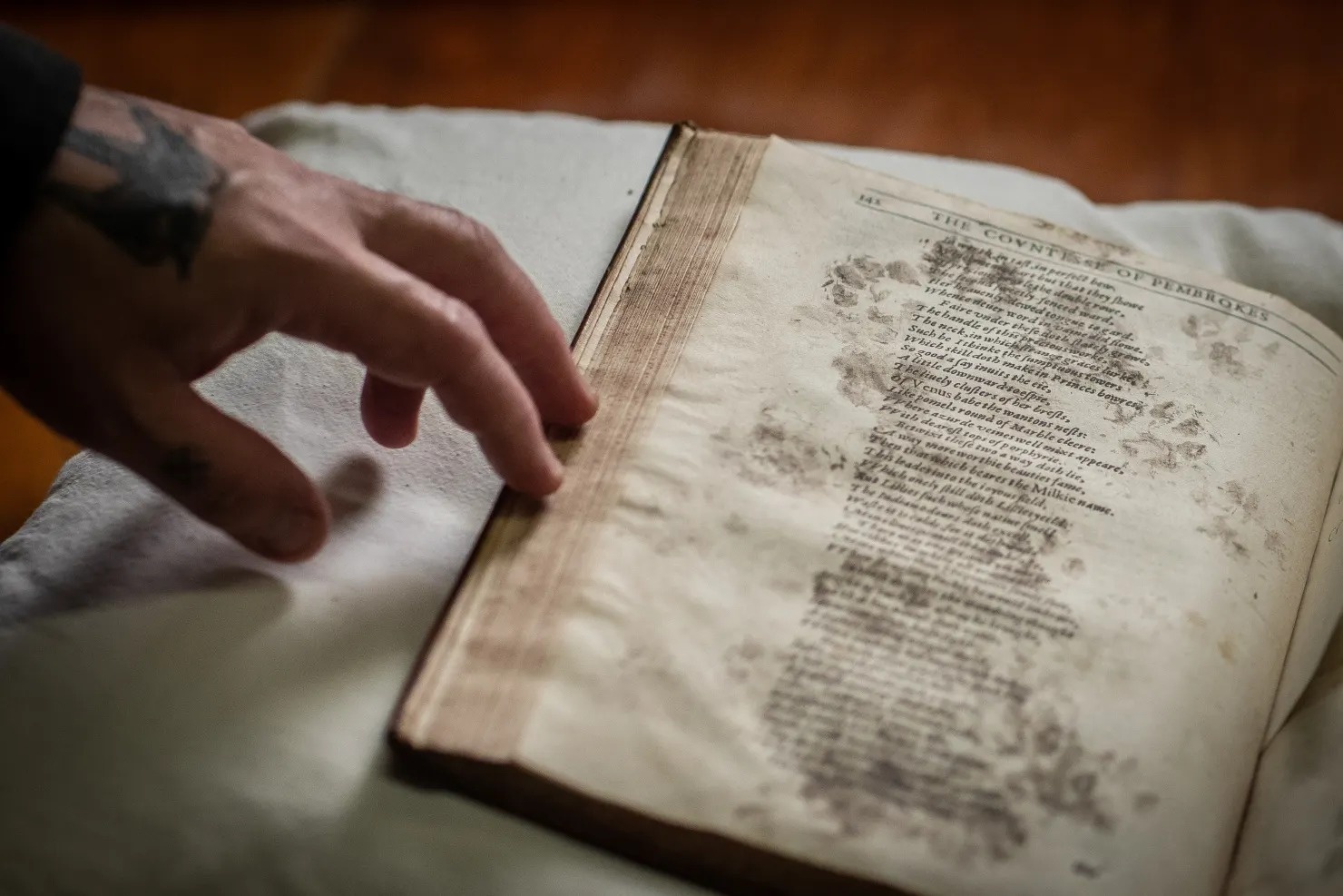 Loat dau chan meo tang gia tri cho cuon sach co the ky 17 hinh anh