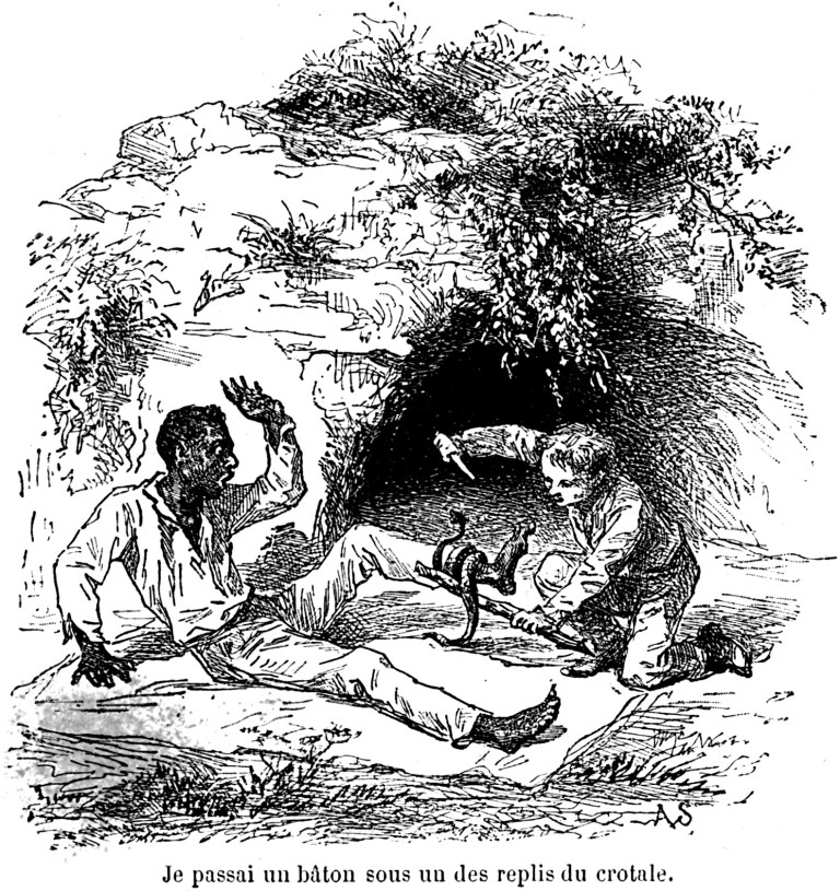 sach gay tranh cai anh 3