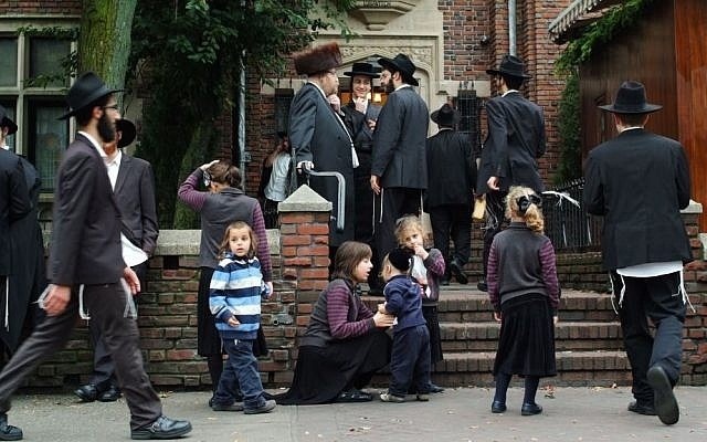 dau gia sach co anh 3