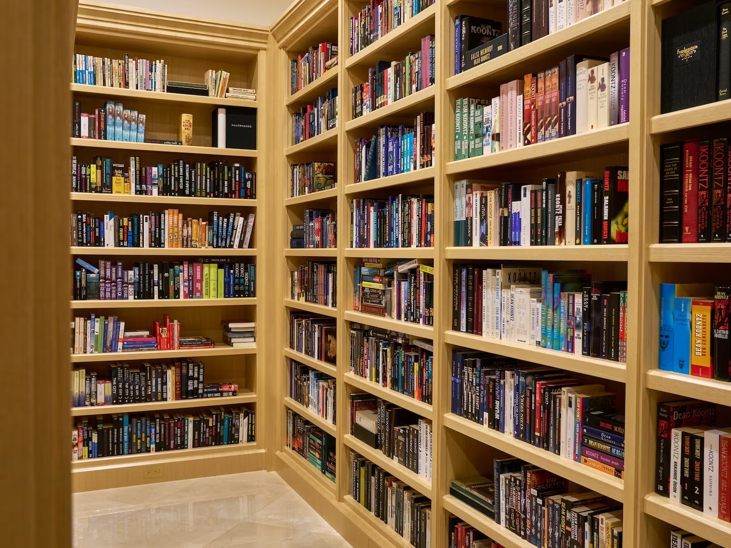 Cam hung Dean Koontz anh 4