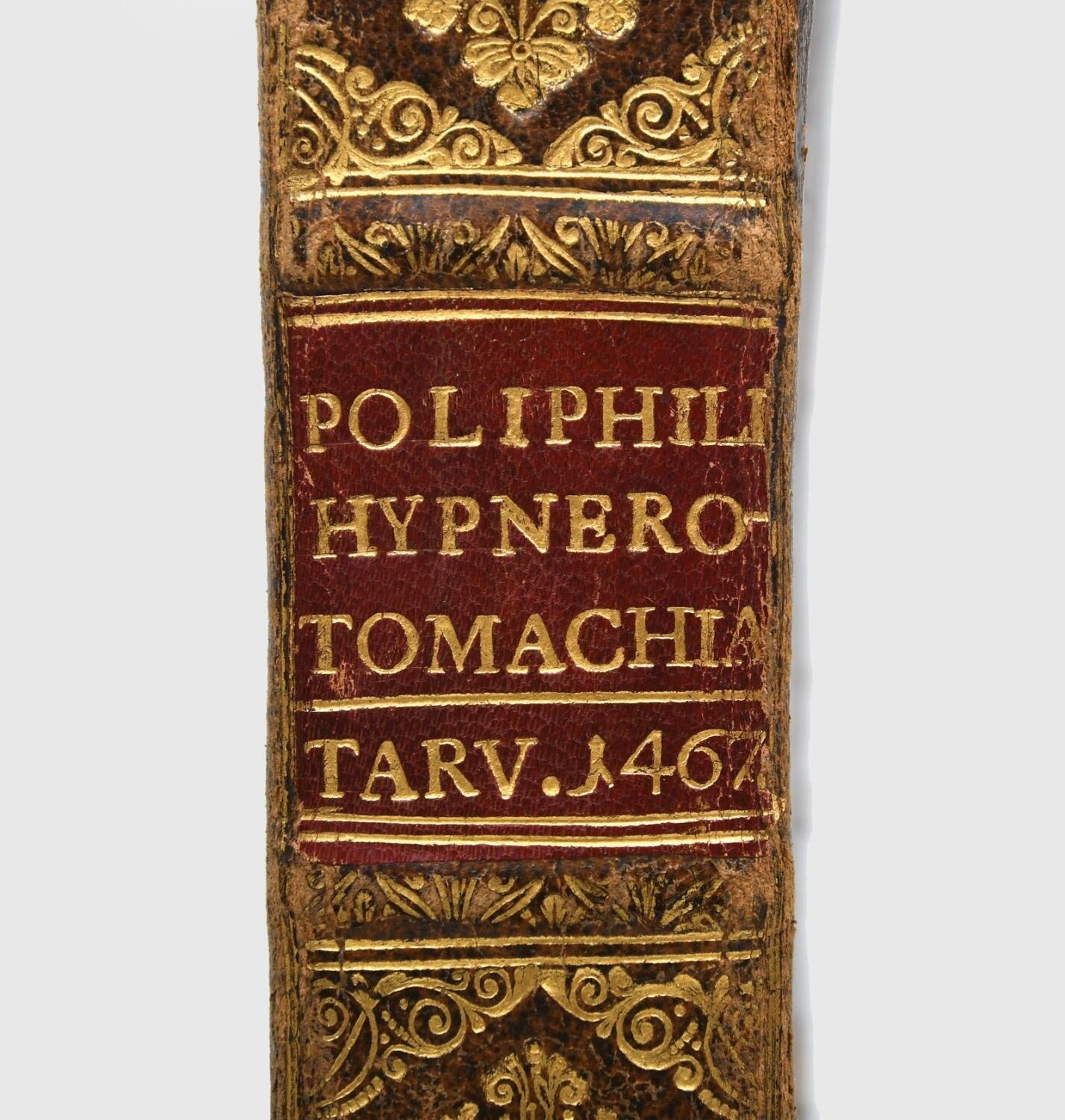 ky tu A Rap co anh 1