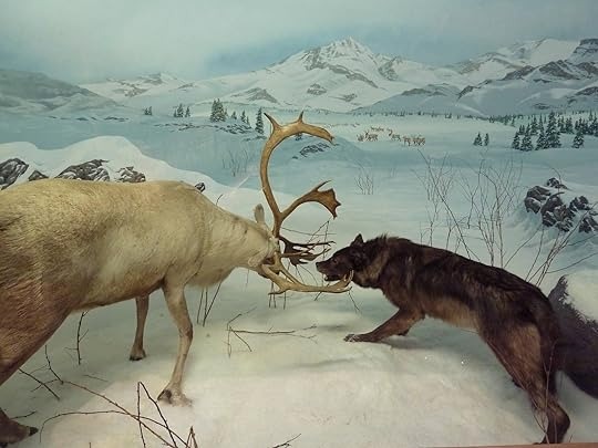 10 cuon sach thay doi cach nhin nhan thien nhien hinh anh