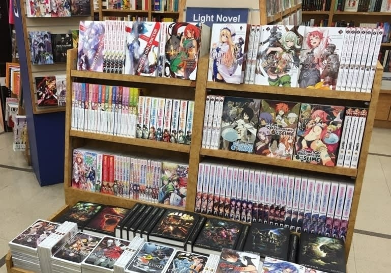 light novel dich anh 2