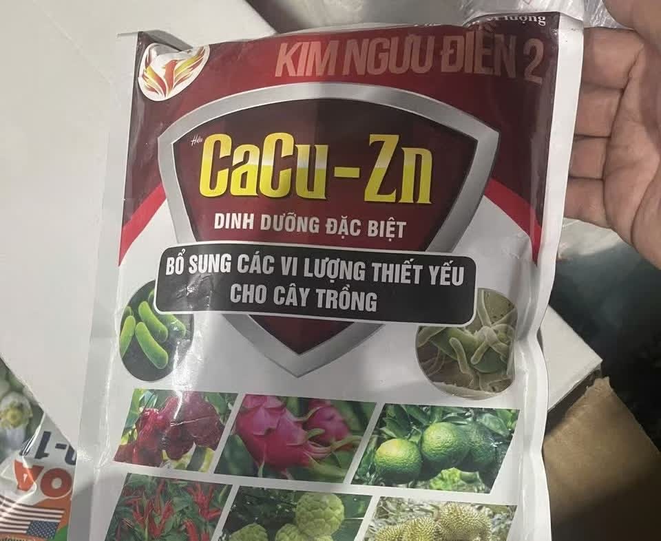 công nghệ Đông Tây, vật tư Carton, nông nghiệp Việt Đoàn, Cửa hàng Việt Đoàn, Cty Ngọc Linh TR, DN Ngọc Linh TR, Công ty Tường Vũ, Giám đốc Tường Vũ, Phân bóng giả ảnh 2 cong nghe Dong Tay, vat tu Carton, nong nghiep Viet Doan, Cua hang Viet Doan, Cty Ngoc Linh TR, DN Ngoc Linh TR, Cong ty Tuong Vu, Giam doc Tuong Vu, Phan bong gia anh 2