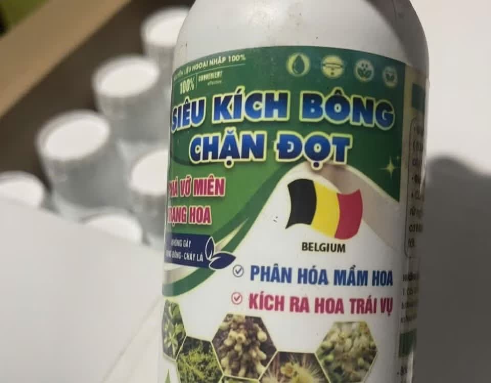 công nghệ Đông Tây, vật tư Carton, nông nghiệp Việt Đoàn, Cửa hàng Việt Đoàn, Cty Ngọc Linh TR, DN Ngọc Linh TR, Công ty Tường Vũ, Giám đốc Tường Vũ, Phân bóng giả ảnh 3 cong nghe Dong Tay, vat tu Carton, nong nghiep Viet Doan, Cua hang Viet Doan, Cty Ngoc Linh TR, DN Ngoc Linh TR, Cong ty Tuong Vu, Giam doc Tuong Vu, Phan bong gia anh 3