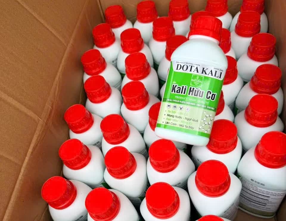 công nghệ Đông Tây, vật tư Carton, nông nghiệp Việt Đoàn, Cửa hàng Việt Đoàn, Cty Ngọc Linh TR, DN Ngọc Linh TR, Công ty Tường Vũ, Giám đốc Tường Vũ, Phân bóng giả ảnh 4 cong nghe Dong Tay, vat tu Carton, nong nghiep Viet Doan, Cua hang Viet Doan, Cty Ngoc Linh TR, DN Ngoc Linh TR, Cong ty Tuong Vu, Giam doc Tuong Vu, Phan bong gia anh 4