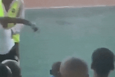 HLV tra gia sau pha tut quan khieu khich doi thu hinh anh