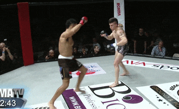 4 vo si MMA tra gia vi ngao man tren san dau hinh anh