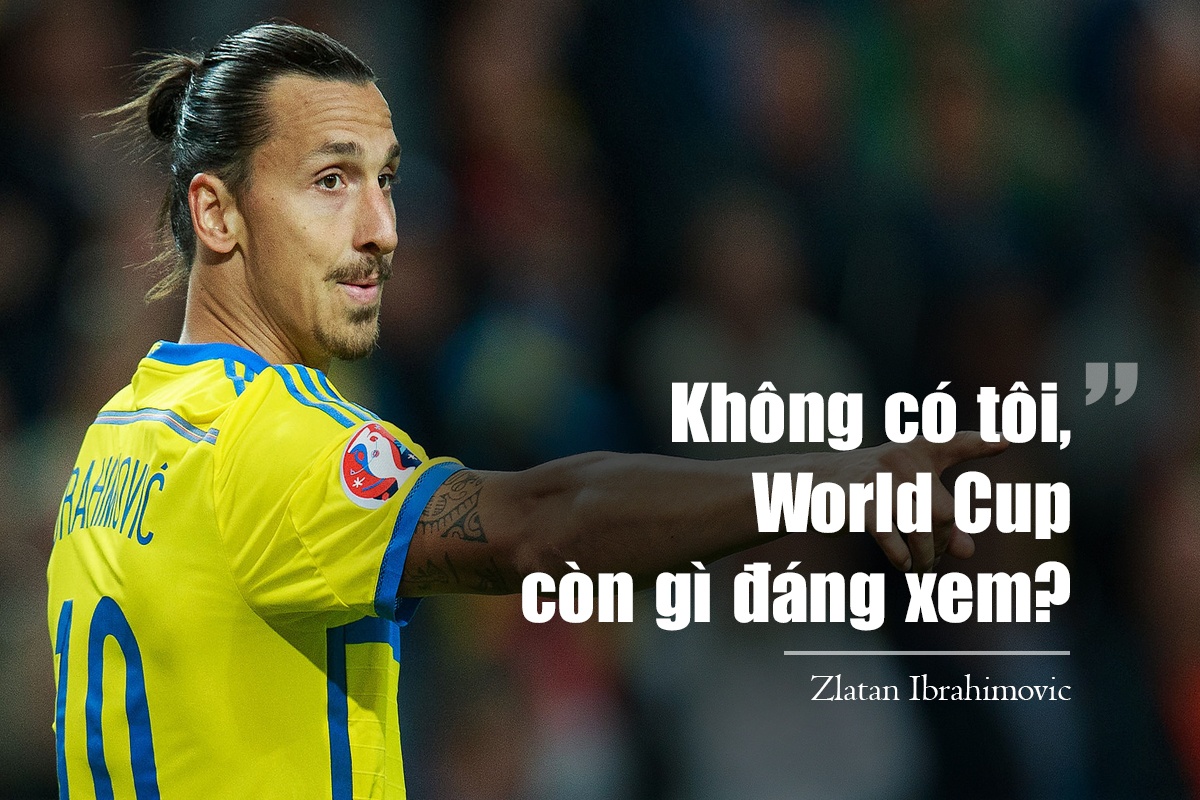 Ibrahimovic anh 3