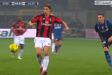 Ibrahimovic cho Materazzi nhap vien bang pha tra dua nam 2010 hinh anh