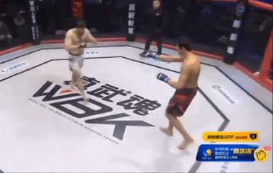Pha dam trom o tran thang knock-out xau xi nhat lich su MMA hinh anh