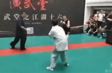 Su trai nguoc cua Thai Cuc quyen tren san vo va phim anh hinh anh