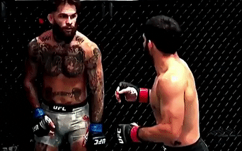 Pha ne don de tung cu knock-out nhanh tai UFC 250 hinh anh