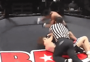 Vo si MMA bi xu thua vi knock-out doi thu va trong tai hinh anh