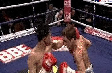 Vo si bi knock-out sau man nhun nhay khieu khich hinh anh