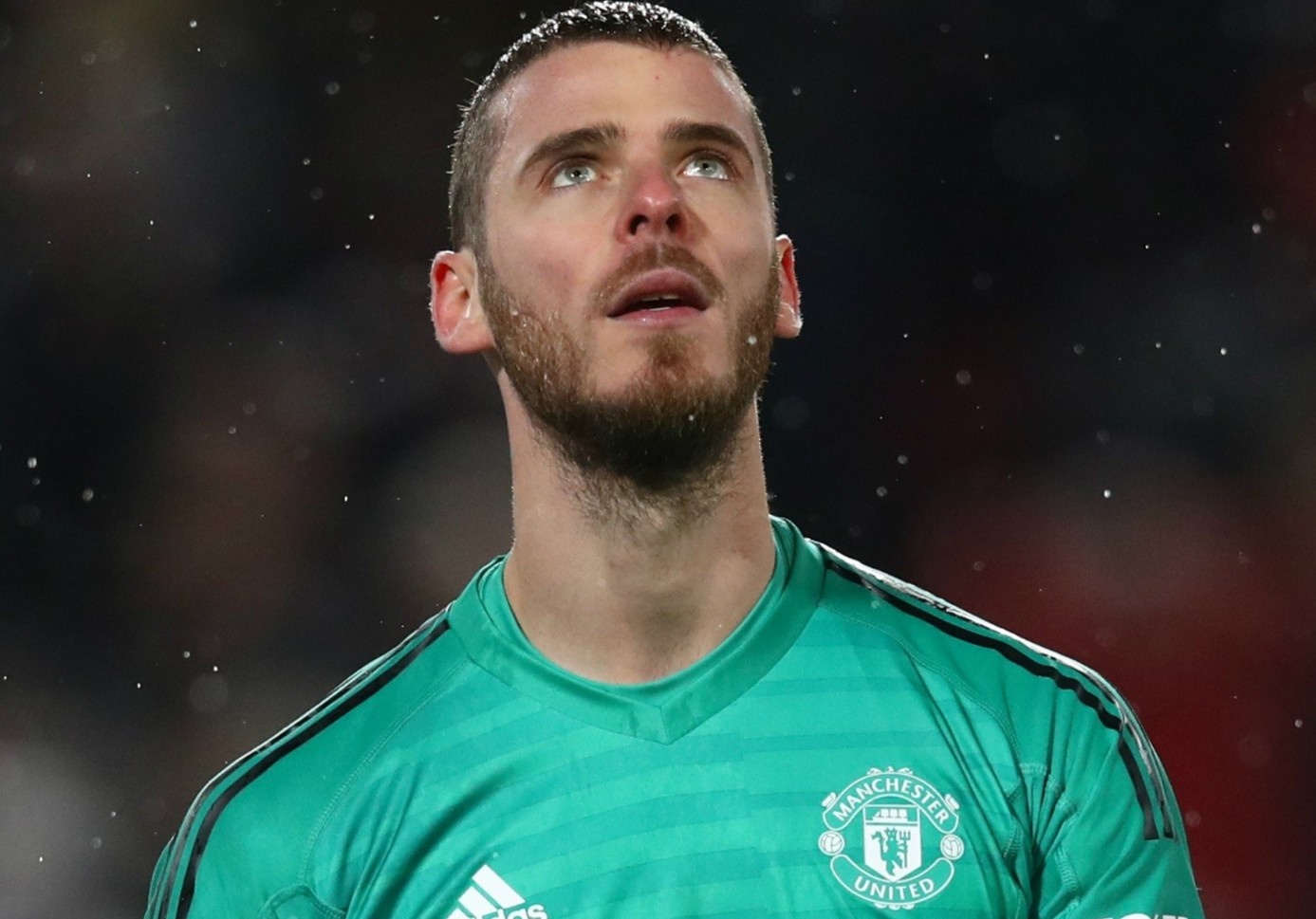 HLV cu chi trich De Gea sau khi xin nghi viec o MU hinh anh