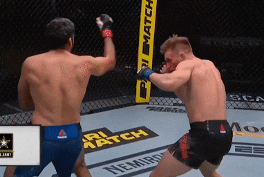 Cu xoay nguoi de ha knock-out gay chu y o UFC hinh anh