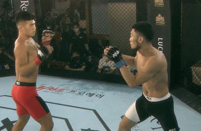 Vo si bat tinh khi nhan cu knock-out toc do hinh anh