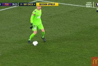 Thu mon tra gia vi dan bong truoc khung thanh hinh anh