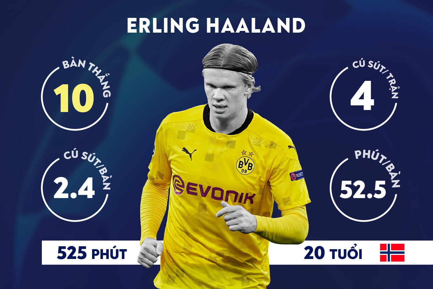 Haaland anh 10