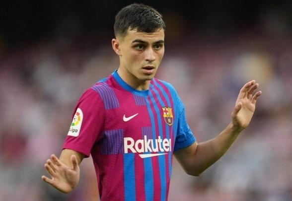 pedri gia han hop dong anh 1