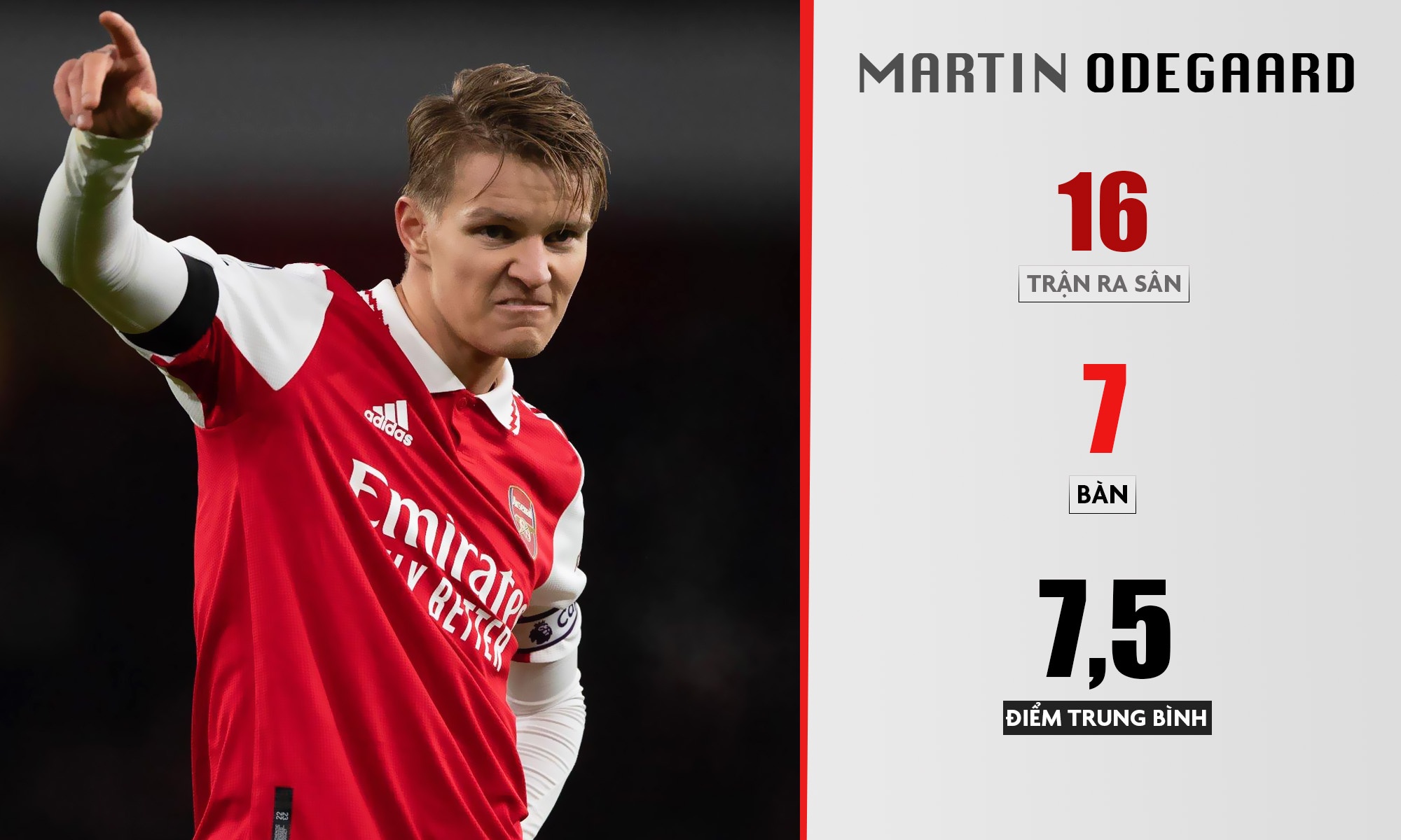 Premier League anh 8