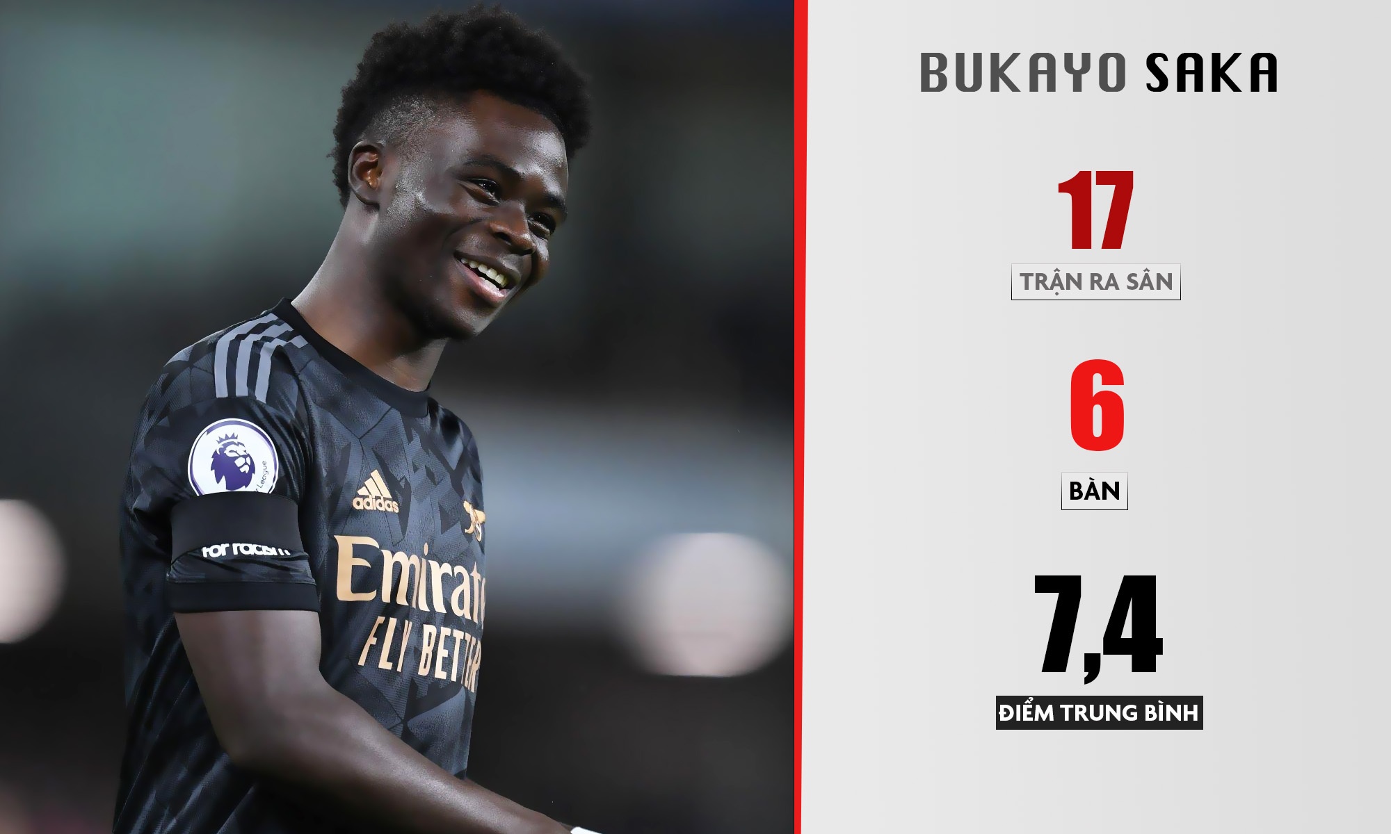 Premier League anh 9