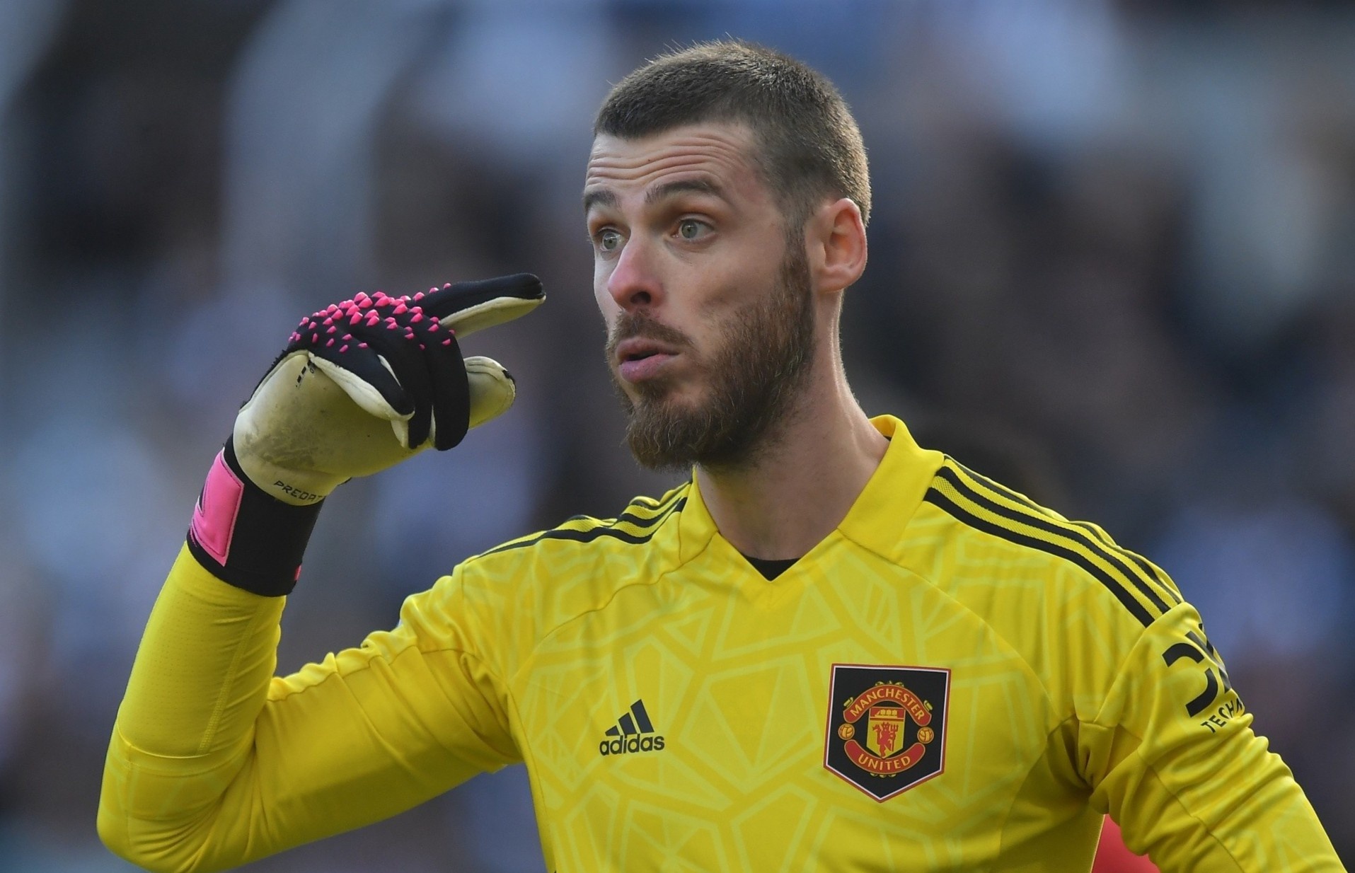 De Gea khong chap nhan mat 9 trieu bang/nam o MU hinh anh