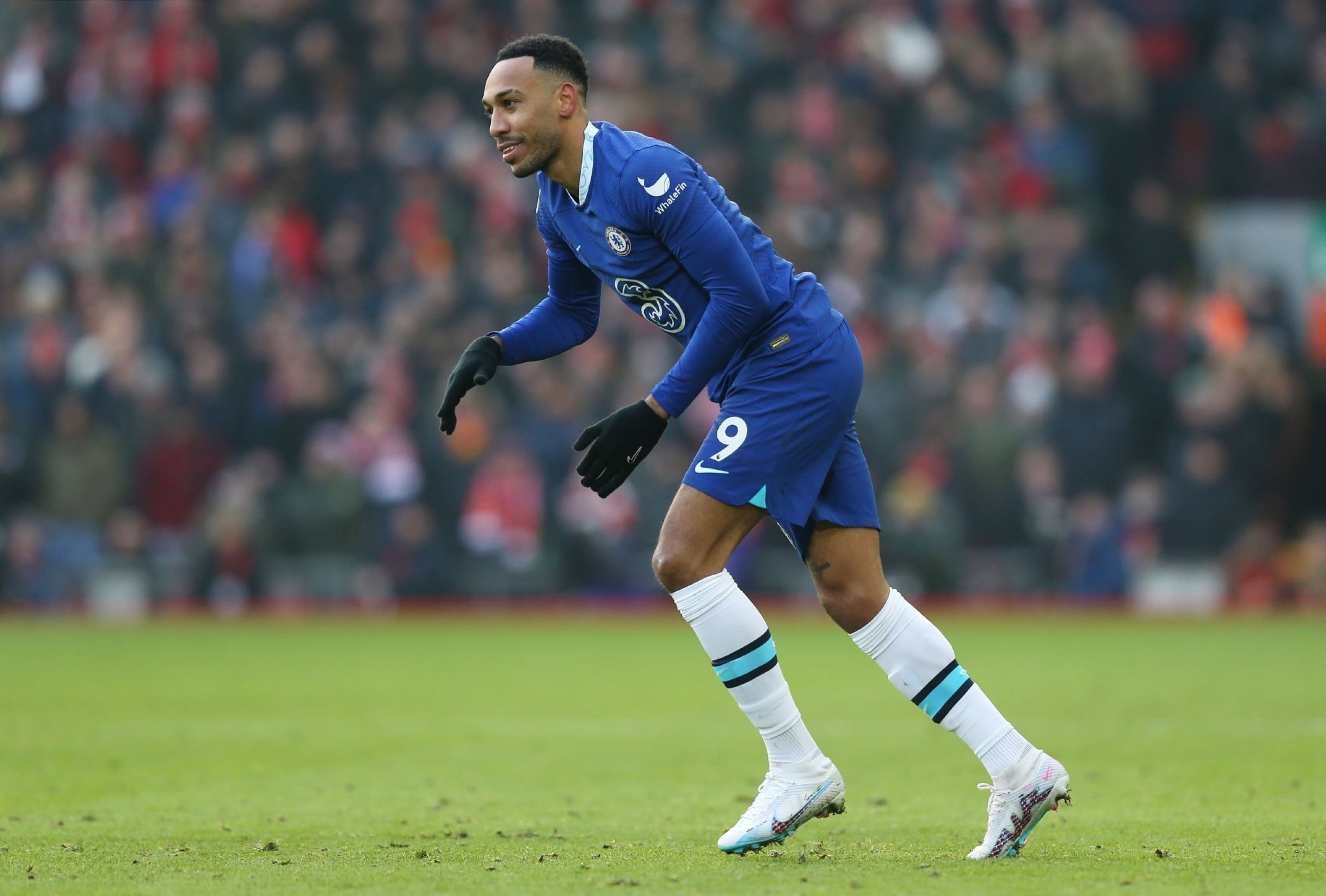 tin chuyen nhuong anh 7