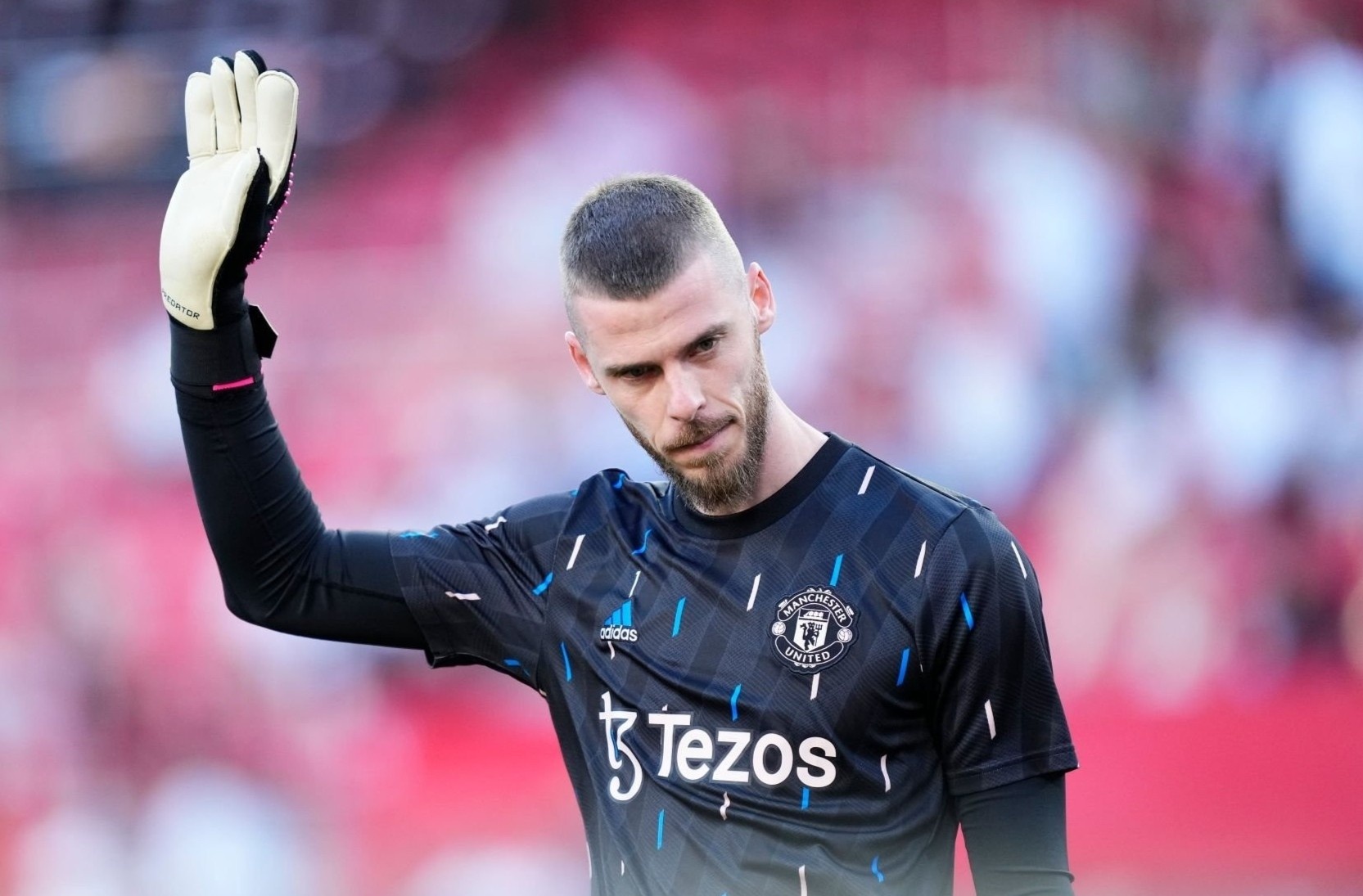 MU tim thu mon thay De Gea hinh anh