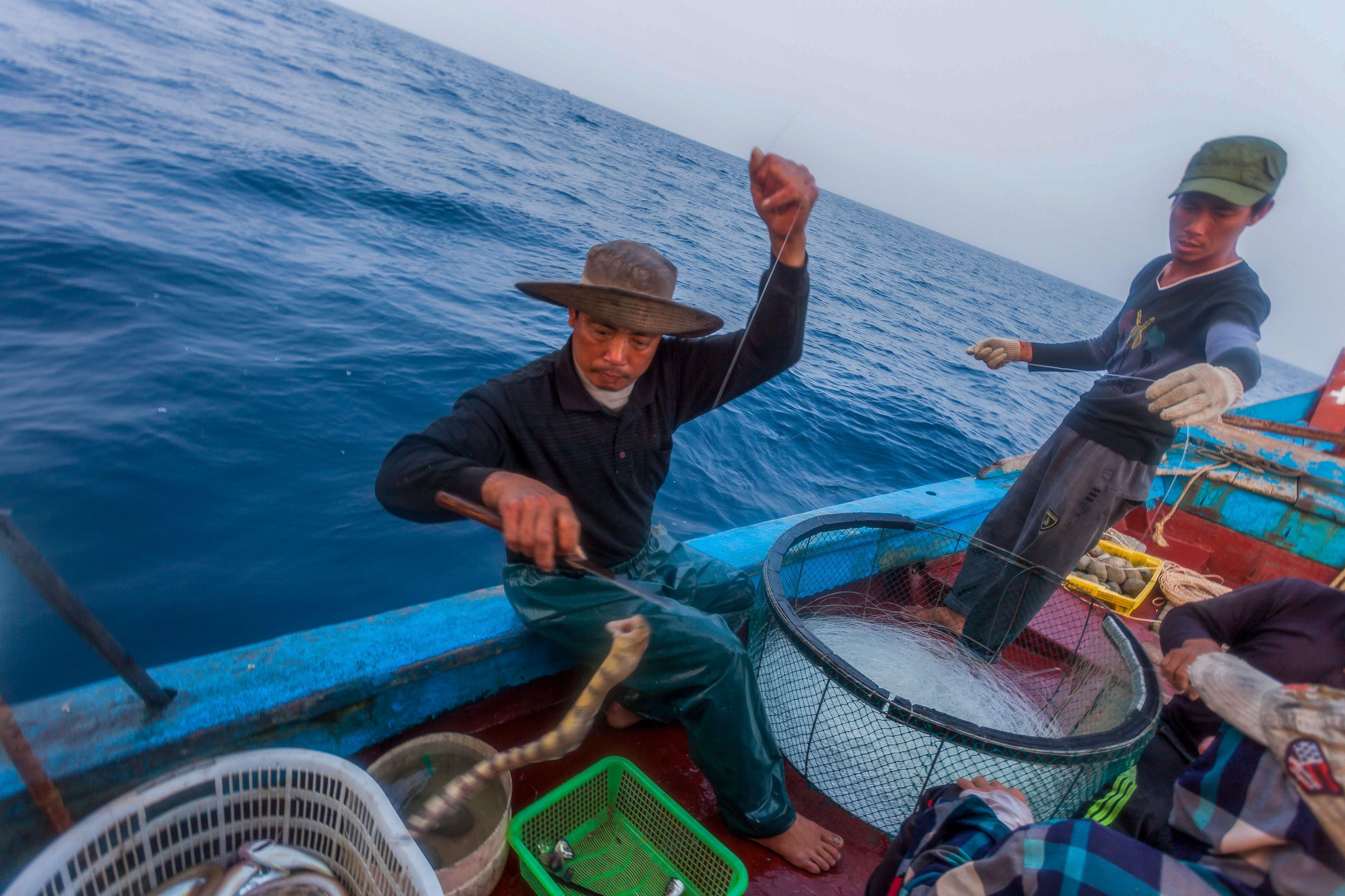 Cau ca mu ngoai khoi vinh Bac Bo hinh anh