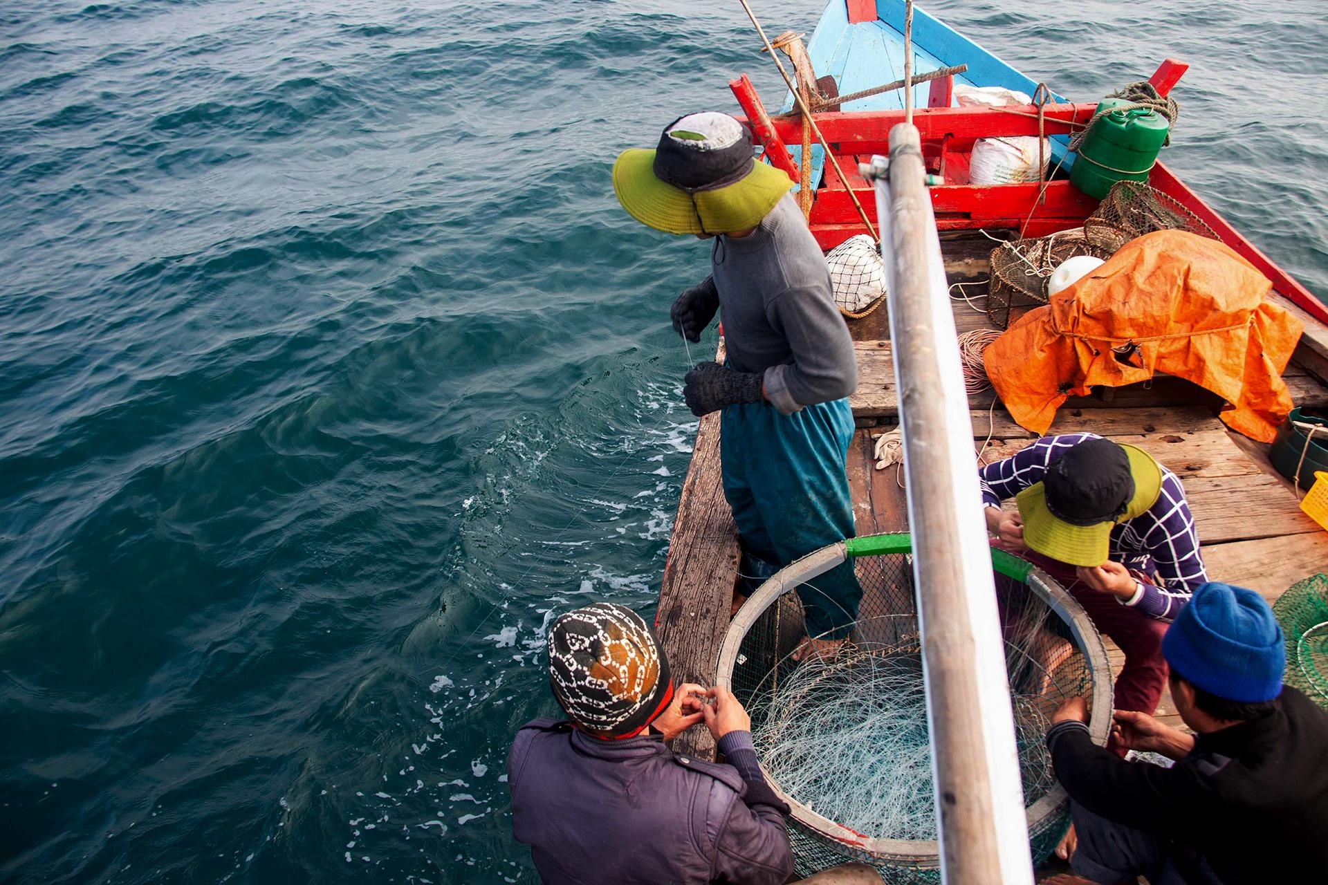 Cau ca ngoai bien dong anh 19