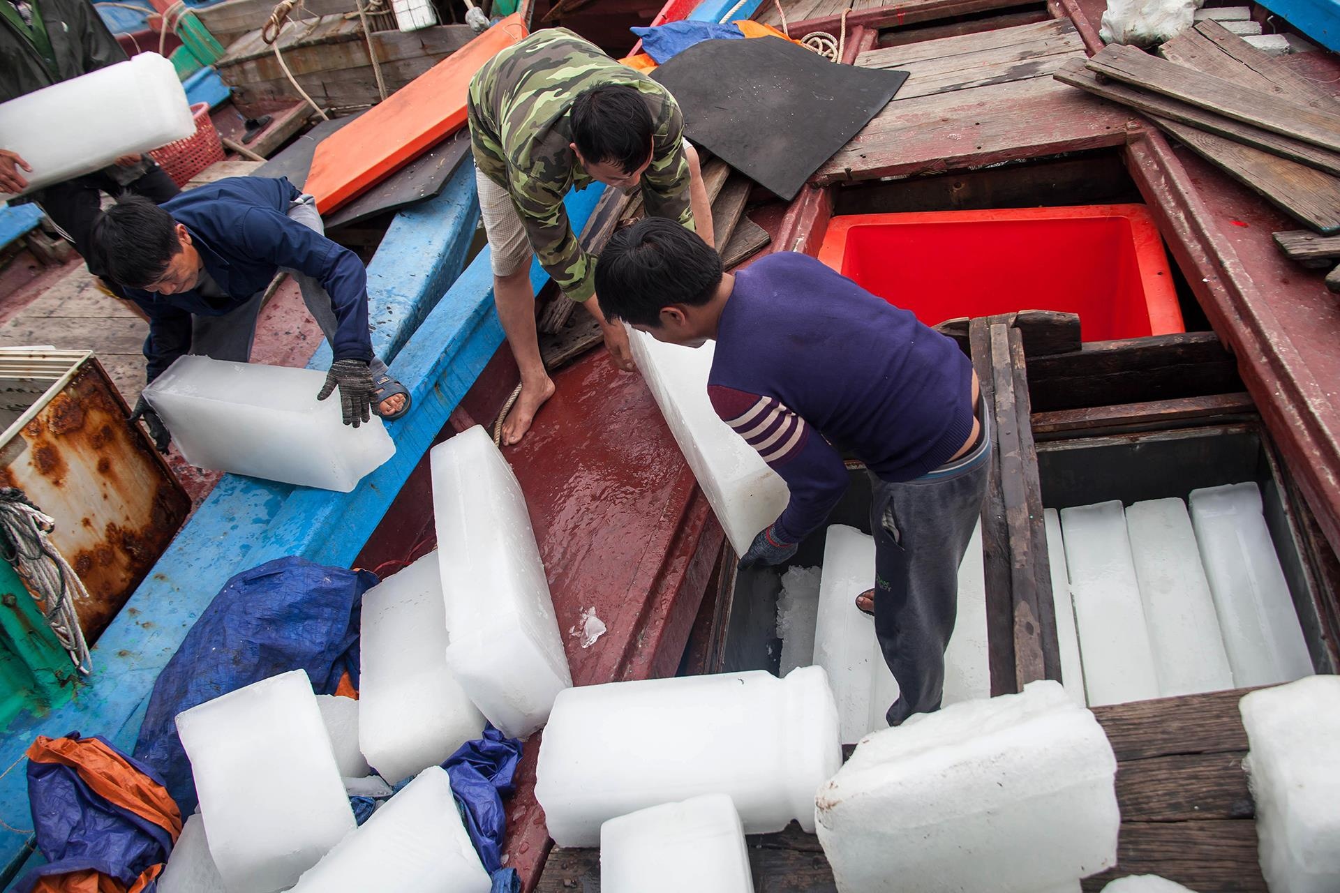 Cau ca ngoai bien dong anh 3