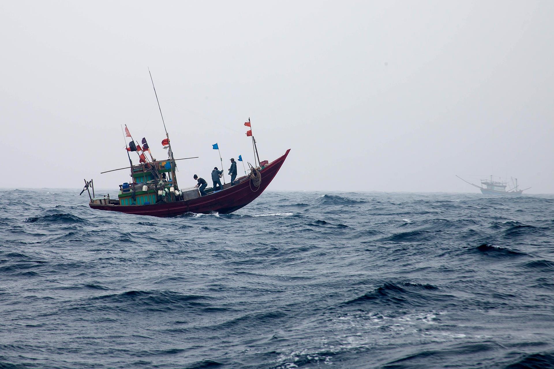 Cau ca ngoai bien dong anh 41