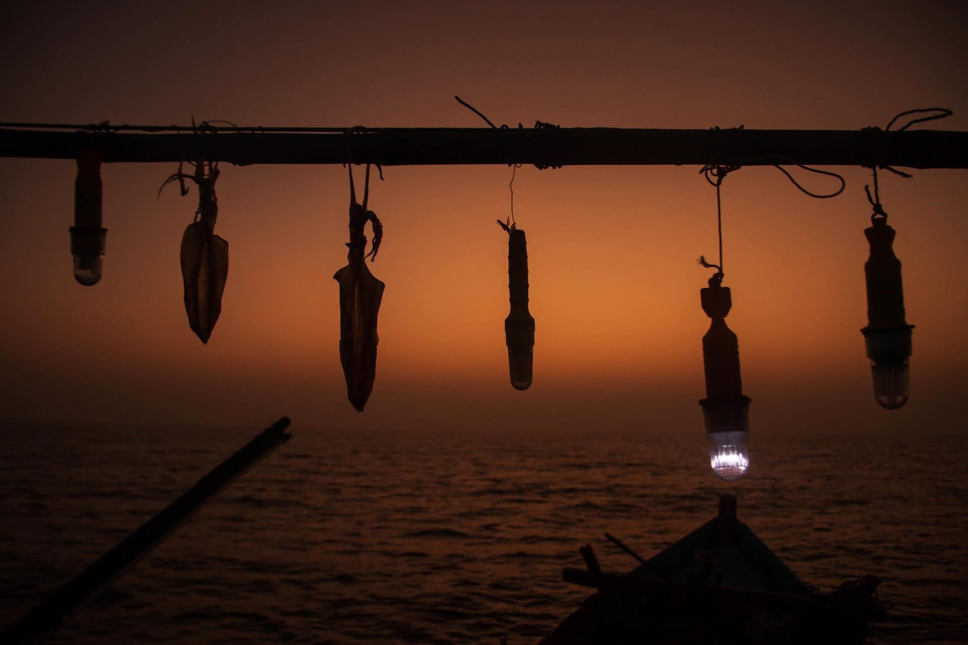 Cau ca ngoai bien dong anh 29